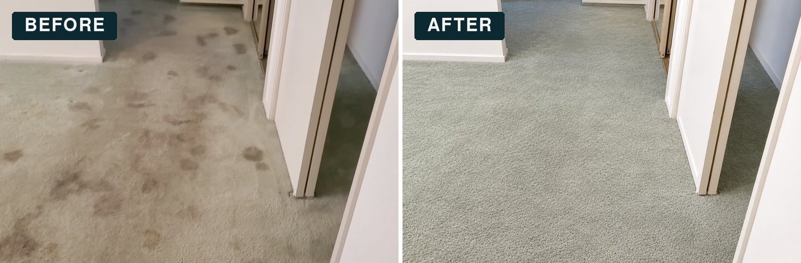 Before and after carpet cleaning in Apollo Beach, FL: living room carpet with dark spots along the walking path, restored to a clean, even look