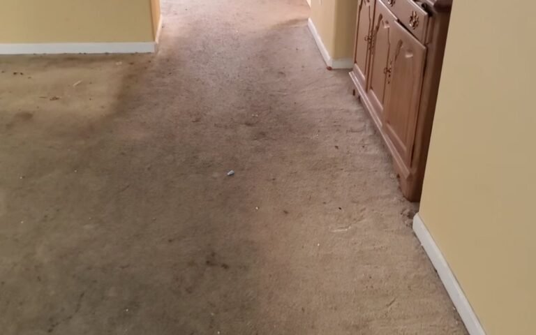 Sand, grit and tracked-in dirt worn into a carpet walkway in a Ruskin, FL home