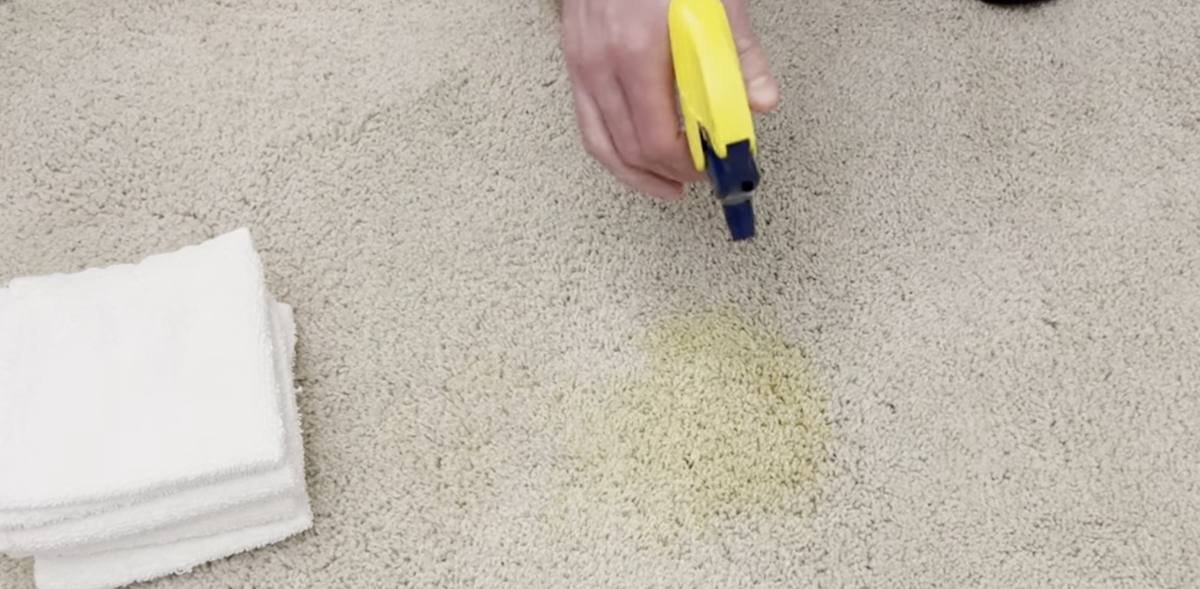 Removing pet urine out of carpet with an enzyme spray in a Ruskin, FL home